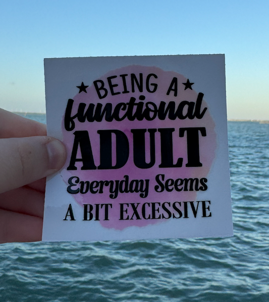 Being a functional adult...